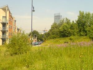 birley vie to humming